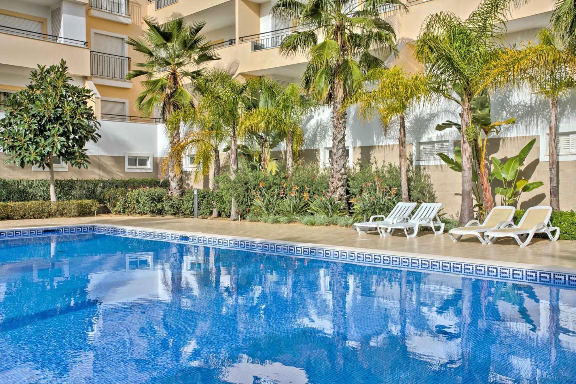 Palm Tree 1 With Pool By Homing